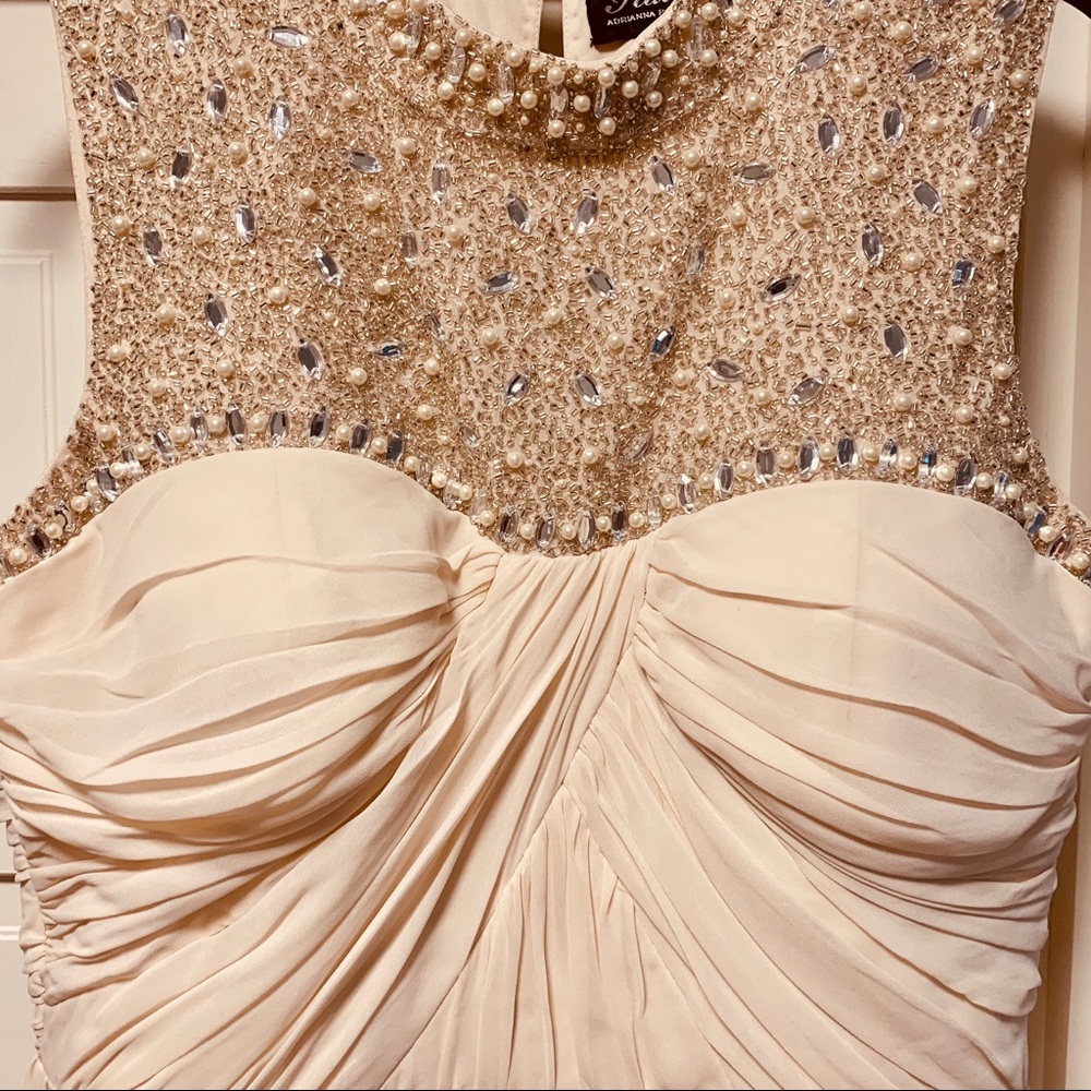 HAILEY by ADRIANNA PAPELL- size 12 Formal Gown